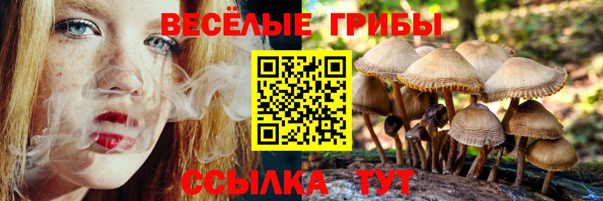 Галлюциногенные грибы Magic Shrooms Можайск