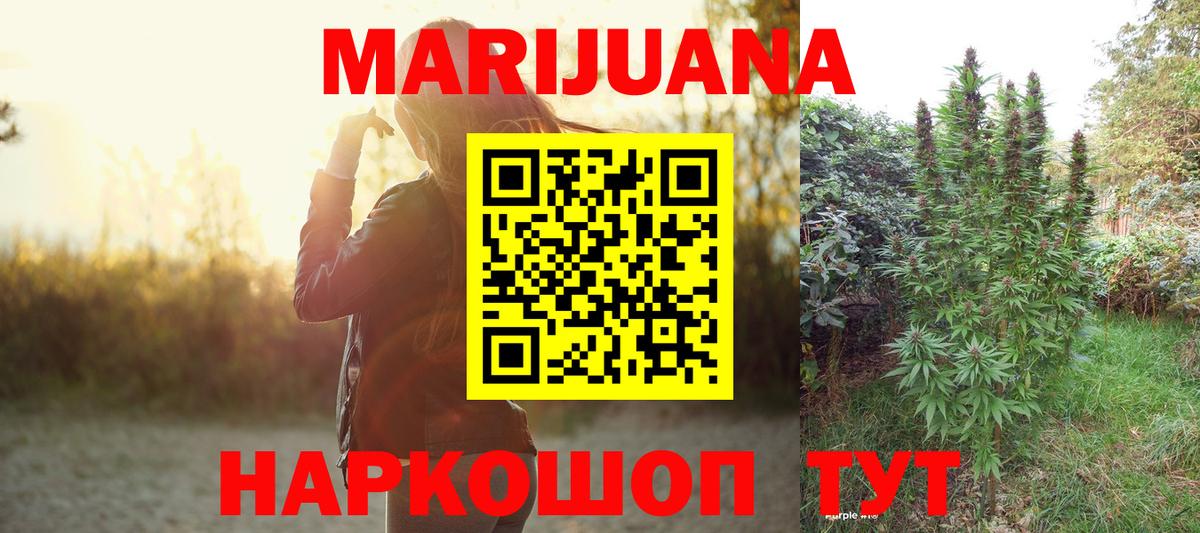 Каннабис сатива Можайск